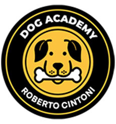 logo_cintoni-new
